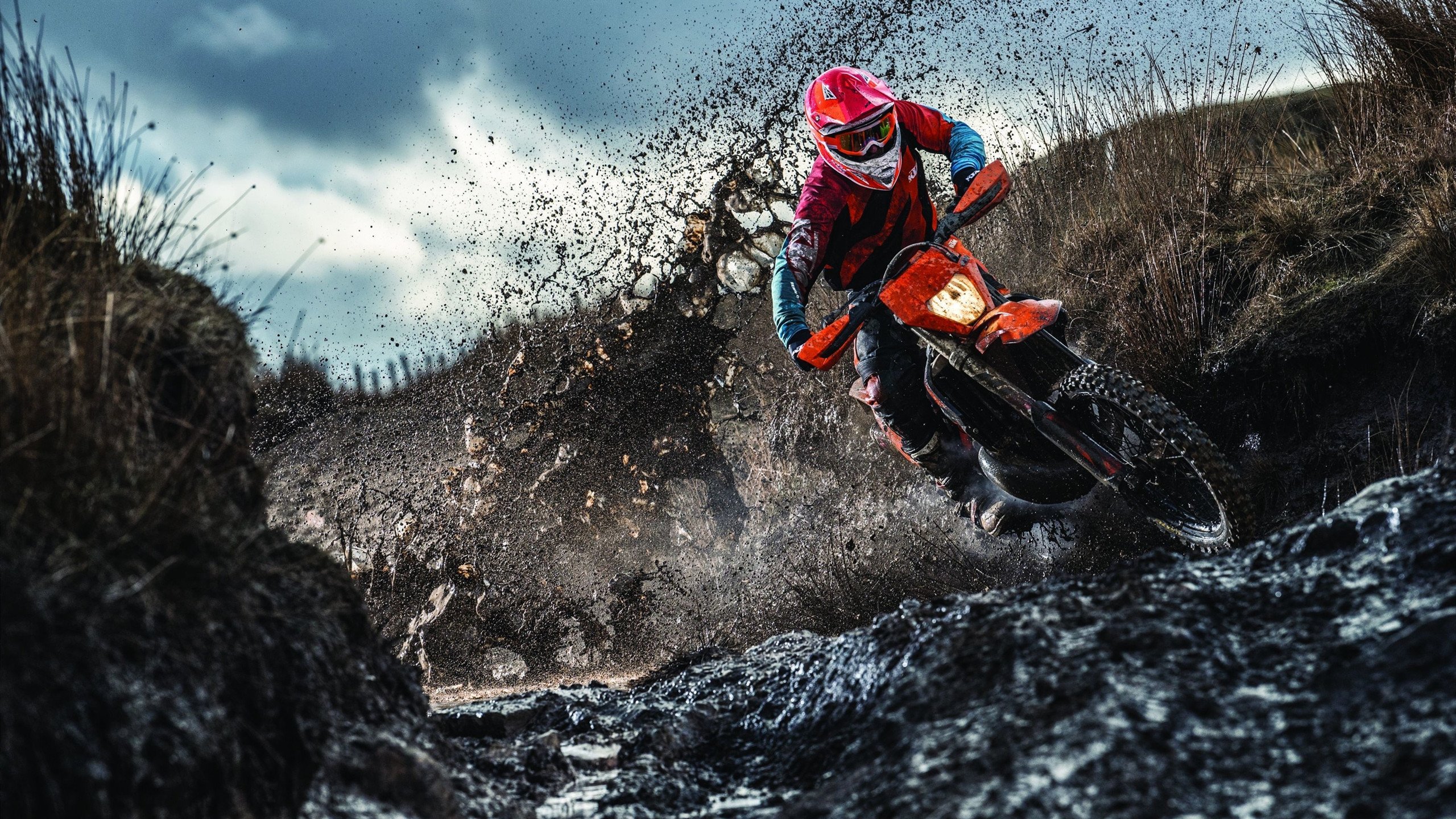 游泳世锦赛:中国队夺金不断,刷新历史纪录!,游泳世锦赛个人金牌榜